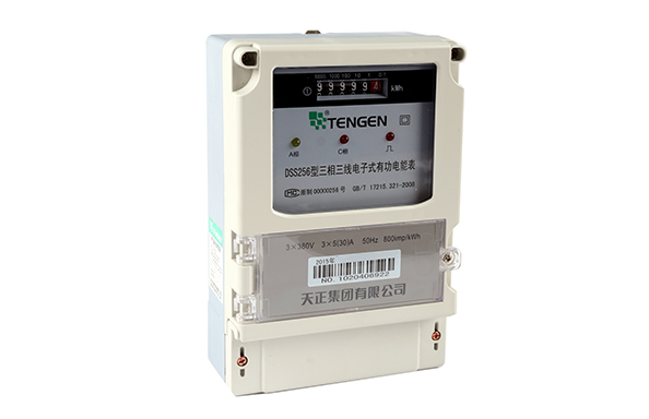 DTS256 Series Electronic Meters