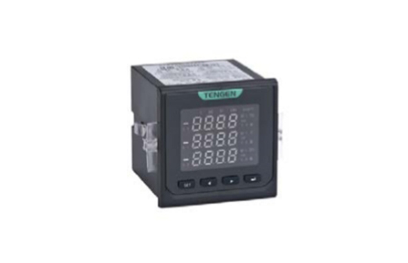  P256 Series Digital Meter